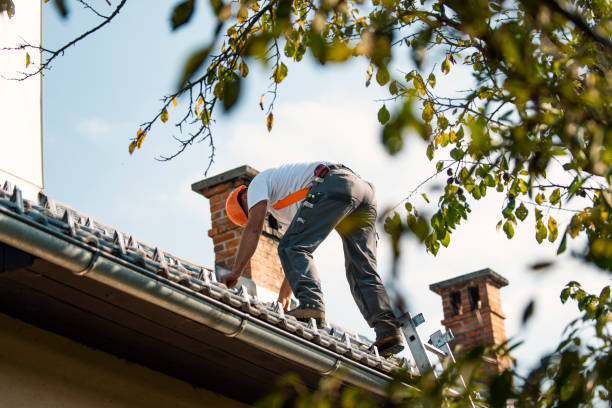 Best Roof Replacement Cost  in Belpre, OH