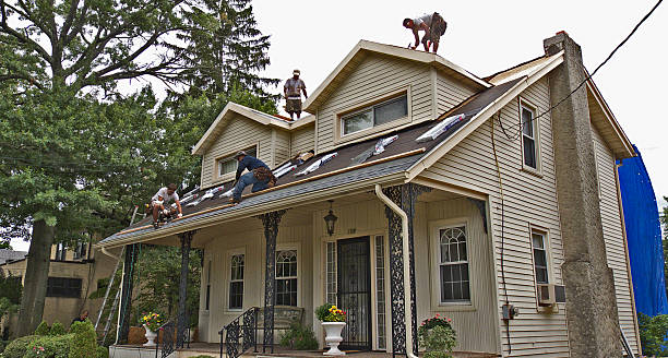 Best Roof Gutter Cleaning  in Belpre, OH